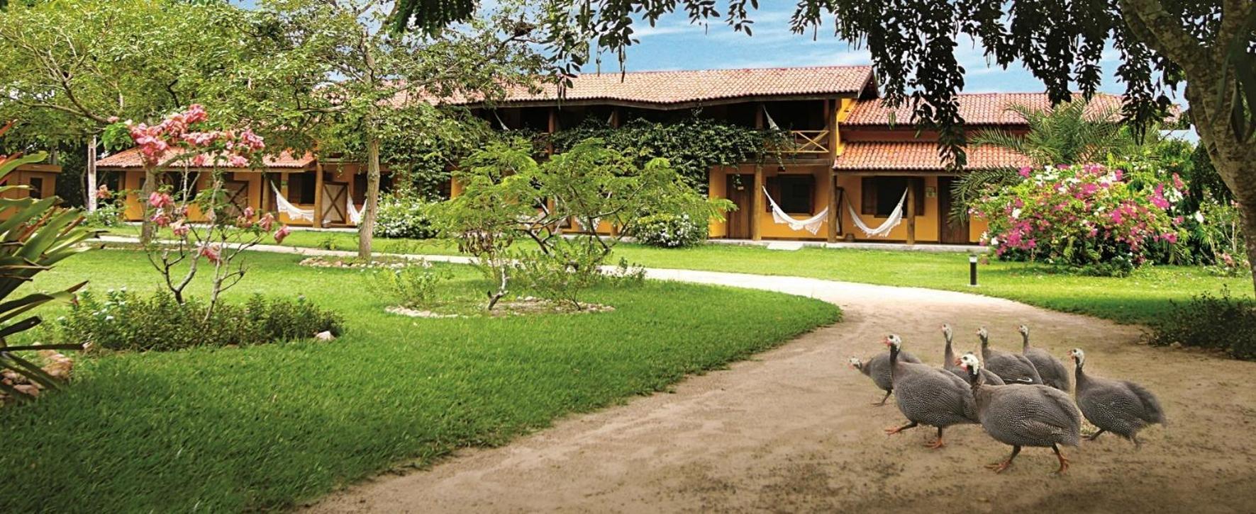 Fazenda Hotel Candeal Conceicao de Jacuipe Buitenkant foto
